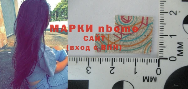 хмурый Алзамай
