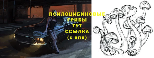 дживик Арсеньев