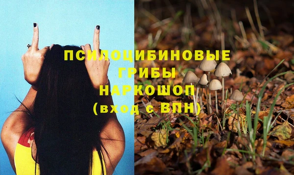 ГАЛЛЮЦИНОГЕННЫЕ ГРИБЫ Аркадак