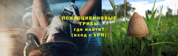 ГАЛЛЮЦИНОГЕННЫЕ ГРИБЫ Аркадак
