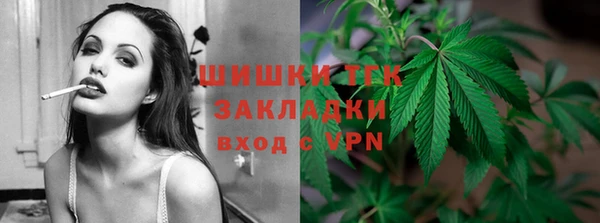 ГАЛЛЮЦИНОГЕННЫЕ ГРИБЫ Аркадак