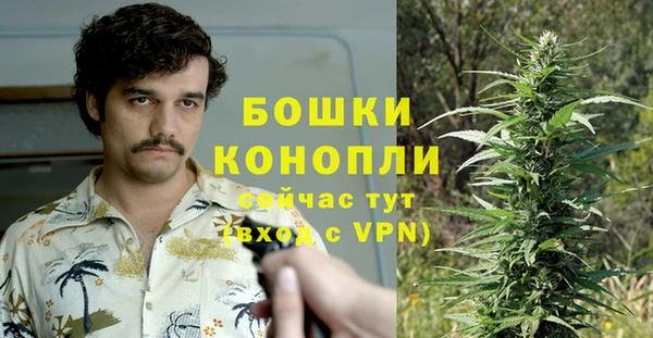 дживик Арсеньев