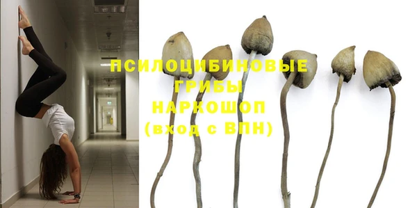 ГАЛЛЮЦИНОГЕННЫЕ ГРИБЫ Аркадак