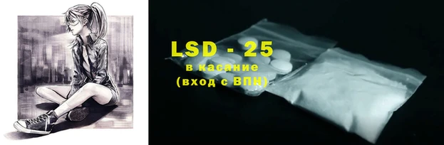 ГАЛЛЮЦИНОГЕННЫЕ ГРИБЫ Аркадак