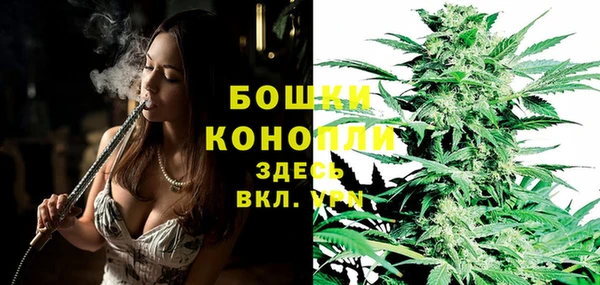 spice Армянск