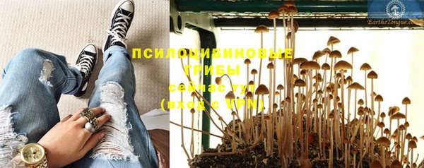 дживик Арсеньев