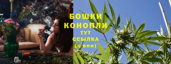ГАЛЛЮЦИНОГЕННЫЕ ГРИБЫ Аркадак