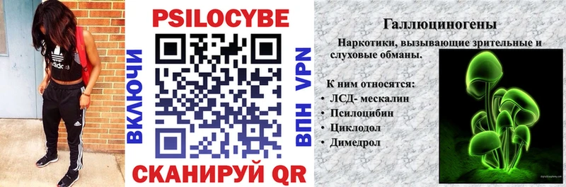 omg ссылки  Фролово  Галлюциногенные грибы Cubensis 